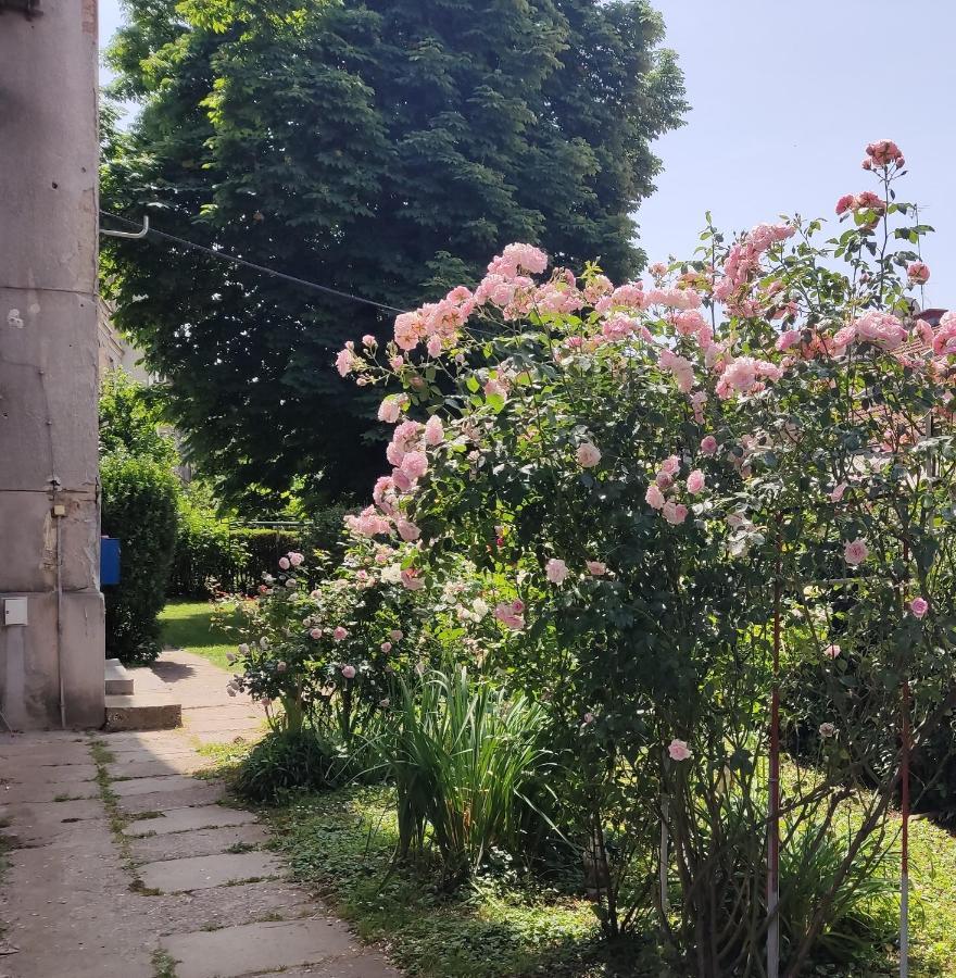 Petit Coco Appartement Zagreb Buitenkant foto
